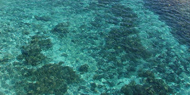 Private speed boat trip gabriel island coin de mire promotion (32)